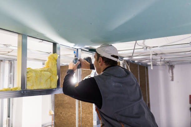 Best Home Insulation Services  in Capitol Heights, MD