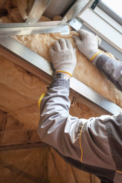 Professional Insulation Contractor in Capitol Heights, MD