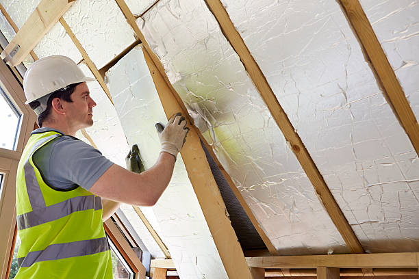 Best Wall Insulation Contractor  in Capitol Heights, MD